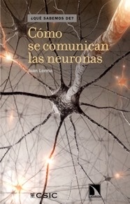 Cómo se Comunican las Neuronas