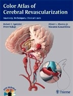 Color Atlas of Cerebral Revascularization "Anatomy, Techniques, Clinical Cases"