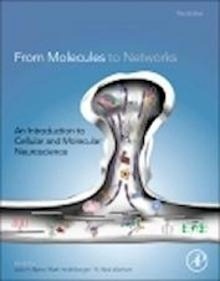 From Molecules to Networks "An Introduction to Cellular and Molecular Neuroscience"