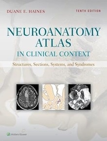 Neuroanatomy Atlas in Clinical Context "Structures, Sections, Systems, and Syndromes"