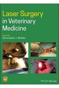 Laser Surgery In Veterinary Medicine